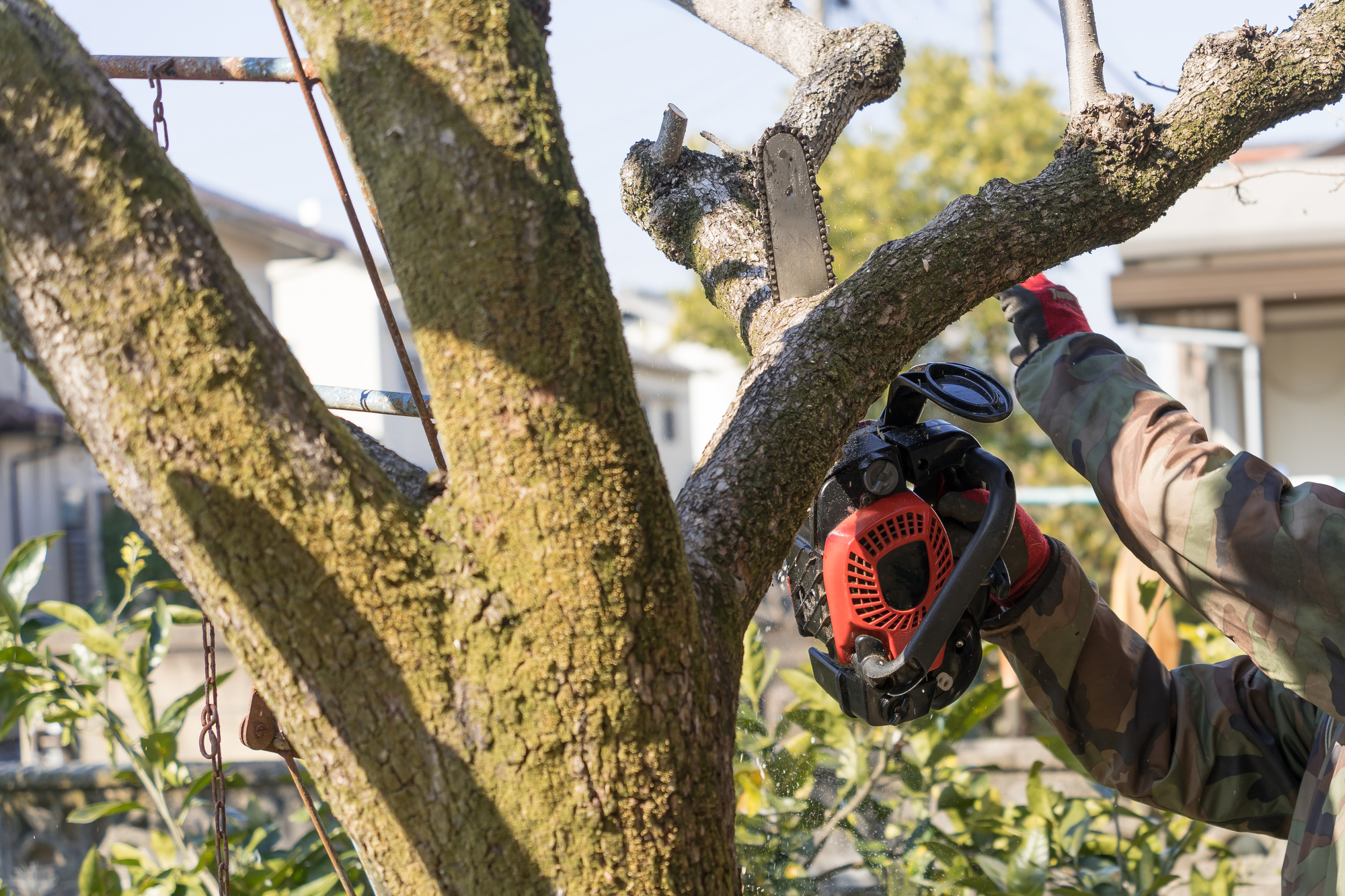 草刈りはなぜ業者に頼むべきなのか？