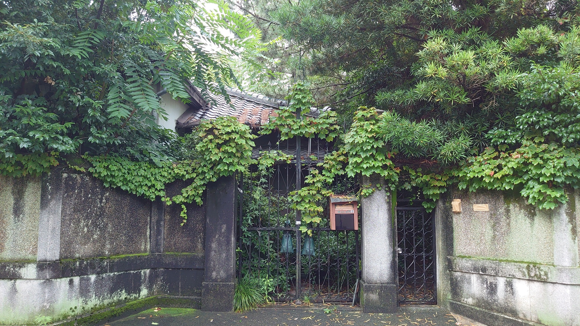 自宅の庭木が近所に迷惑をかけている？