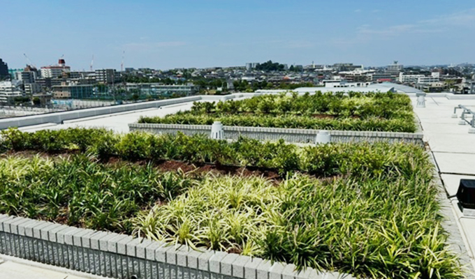 伐採屋・解決本舗 屋上菜園