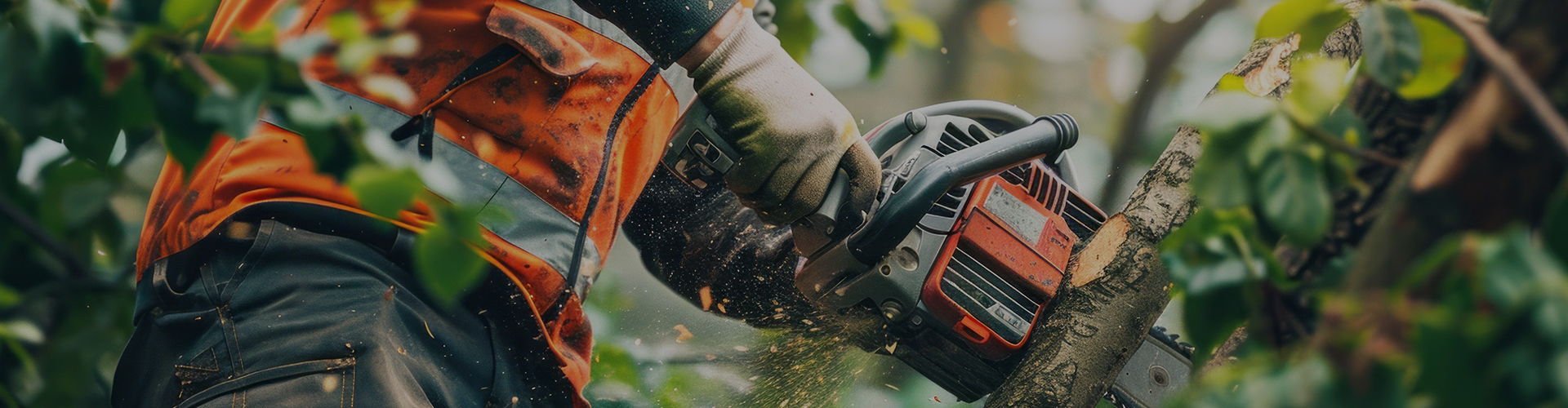 伐採屋・解決本舗とは
