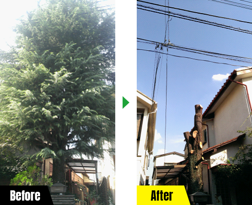 伐採屋・解決本舗 枝落としの作業例