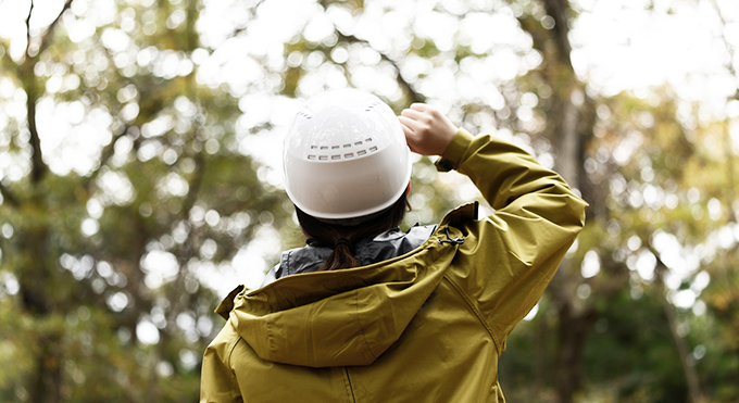 伐採・剪定ご依頼の流れ 無料見積り、現地調査