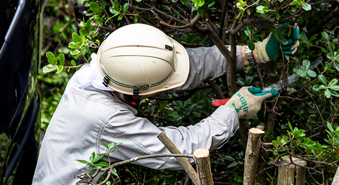 伐採・剪定ご依頼の流れ 作業日の確定～作業開始