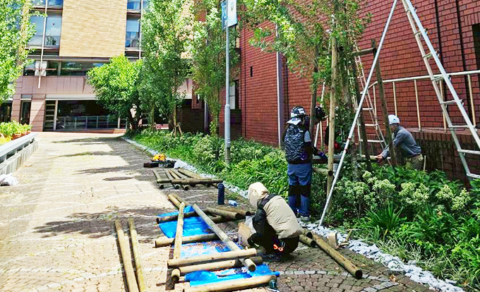 伐採屋・解決本舗の植栽工事
