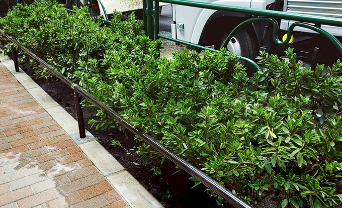 伐採屋・解決本舗の植栽工事1