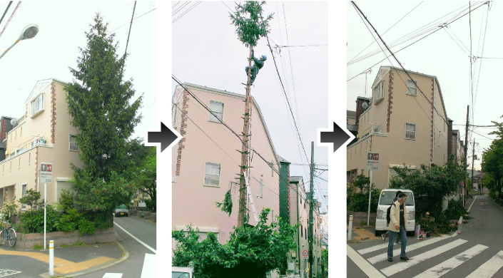 伐採屋・解決本舗の伐採作業例