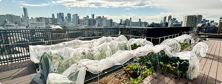 サービス内容 屋上菜園