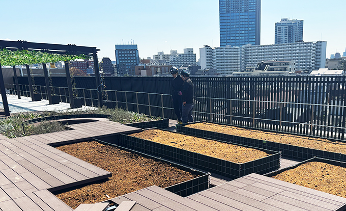 伐採屋・解決本舗の屋上菜園1