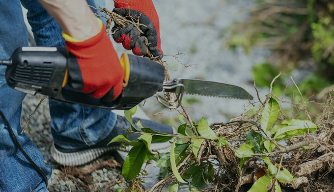 伐採屋・解決本舗の枝落とし