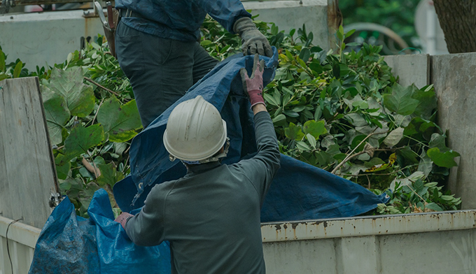 伐採屋・解決本舗の切った枝葉の引き取り