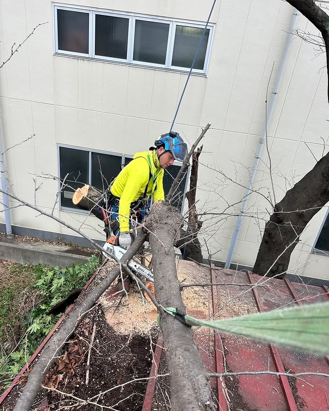 伐採屋・解決本舗の特殊伐採作業風景6