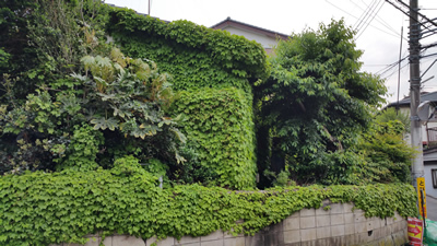 空き家の片づけ作業事例1