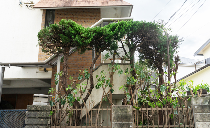 高い木や垣根～塀などがある家