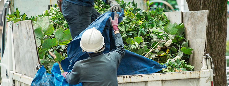 サービス内容 切った枝葉の引き取り