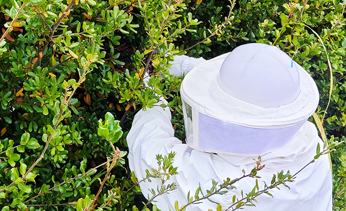 プロに依頼したほうが良い理由3