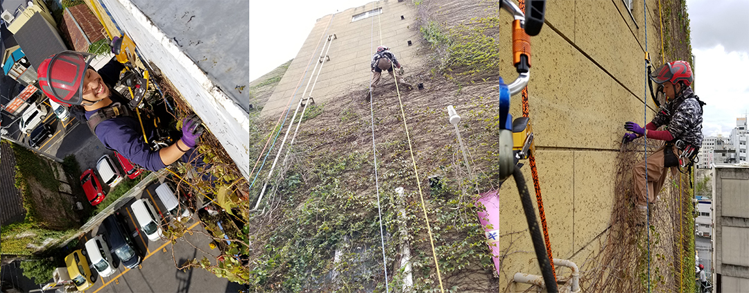 伐採屋・解決本舗の強み