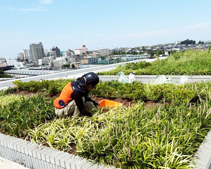 伐採屋・解決本舗のサービス 屋上菜園