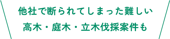 他社で断られてしまった難しい高木・庭木・立木伐採案件も