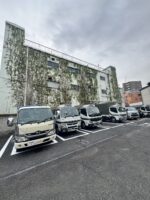 東京都北区にて蔦取り作業