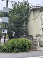 東京都世田谷区 桜の特殊伐採