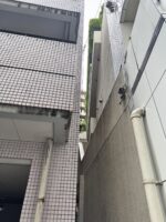 横浜市神奈川区にてビルの蔦取り作業