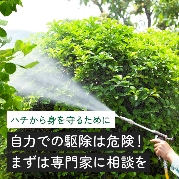 命に関わることもあるハチによる被害！注意事項と対策を解説！