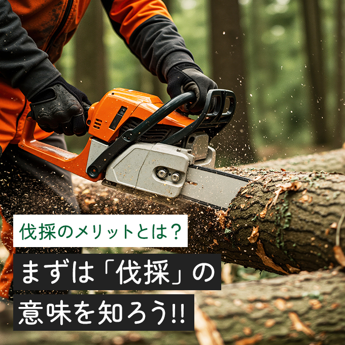 伐採ってどんな作業？ 伐採の必要性や技術などをわかりやすく解説！