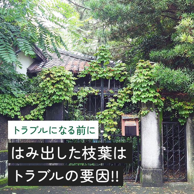 自宅の庭木がトラブルになる前に対策を考えましょう！