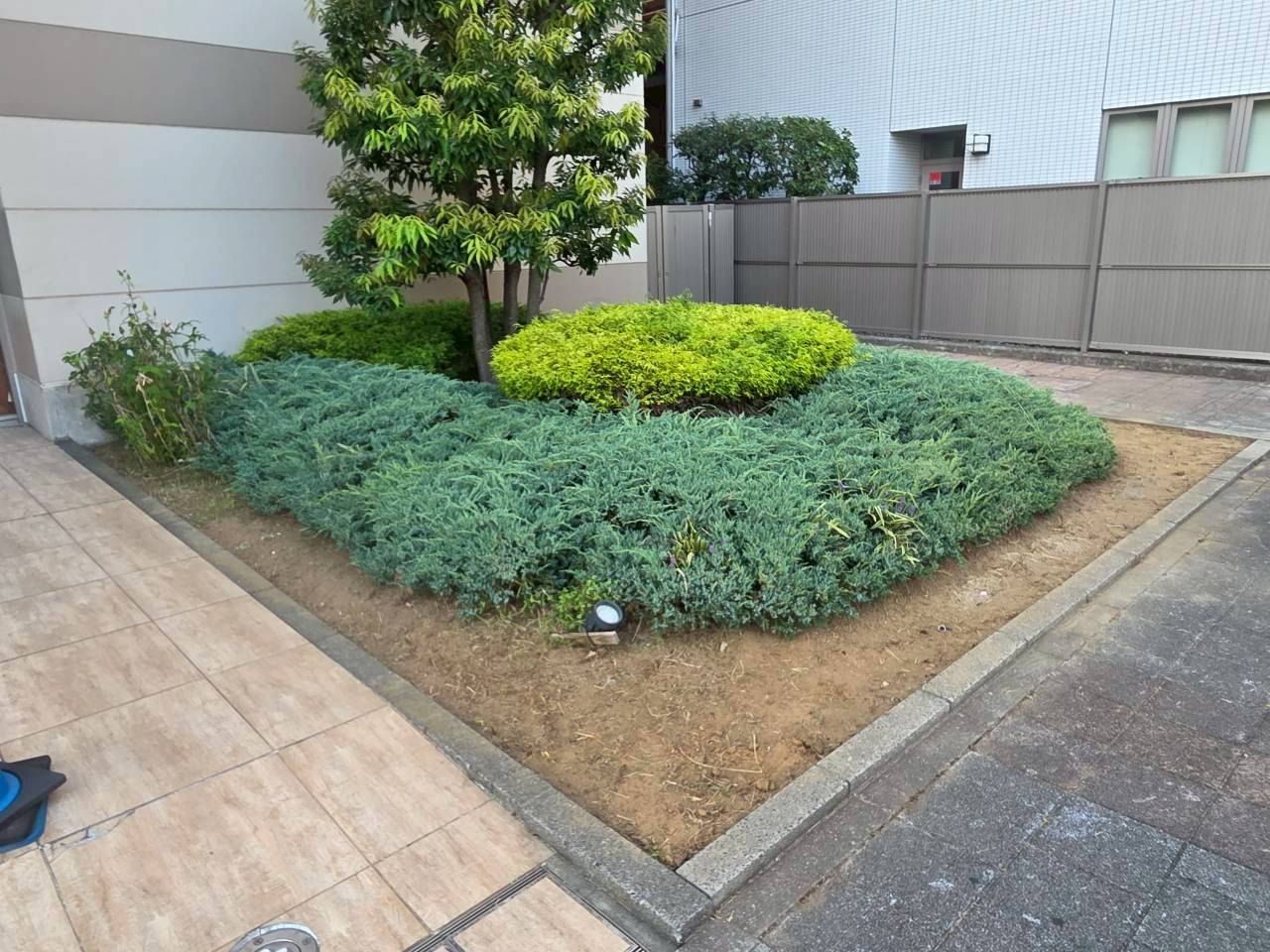 商業施設周辺の除草作業5