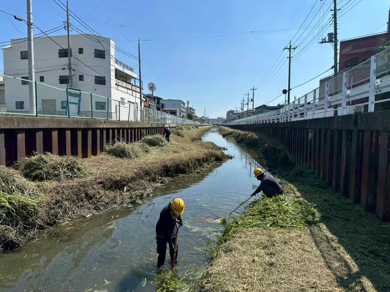 河川敷の除草作業1
