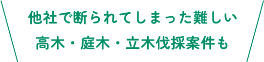 他社で断られてしまった難しい高木・庭木・立木伐採案件も