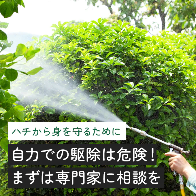 命に関わることもあるハチによる被害！注意事項と対策を解説！